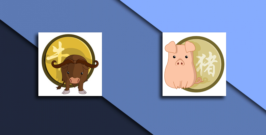 Compatibility of Bull and Pig