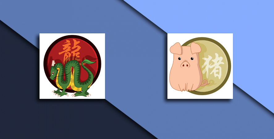 Compatibility of Dragon and Pig